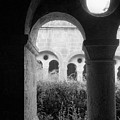 Mullioned Window in Thoronet